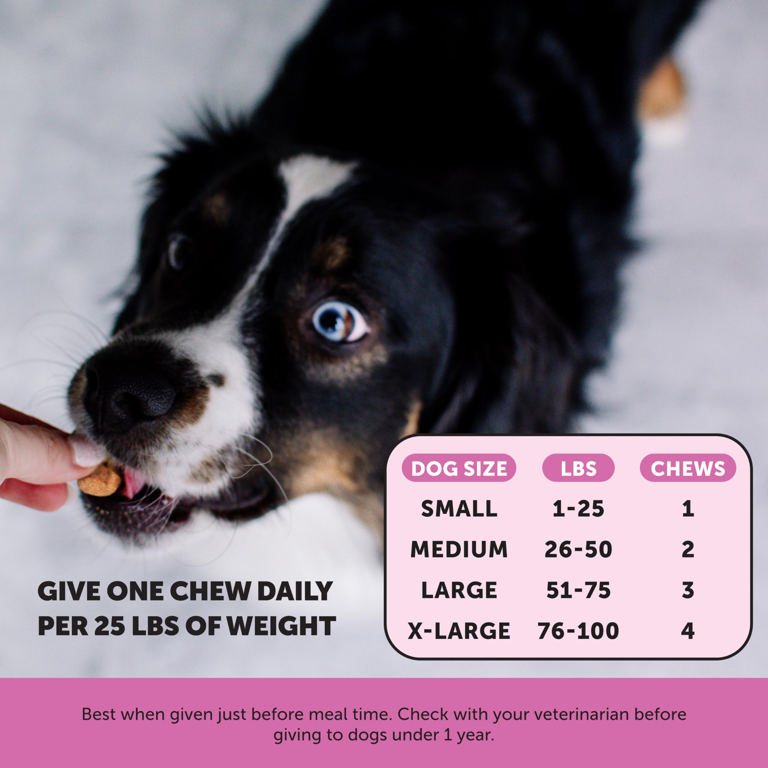 Pet Honesty probiotics image indicating digestive balance support