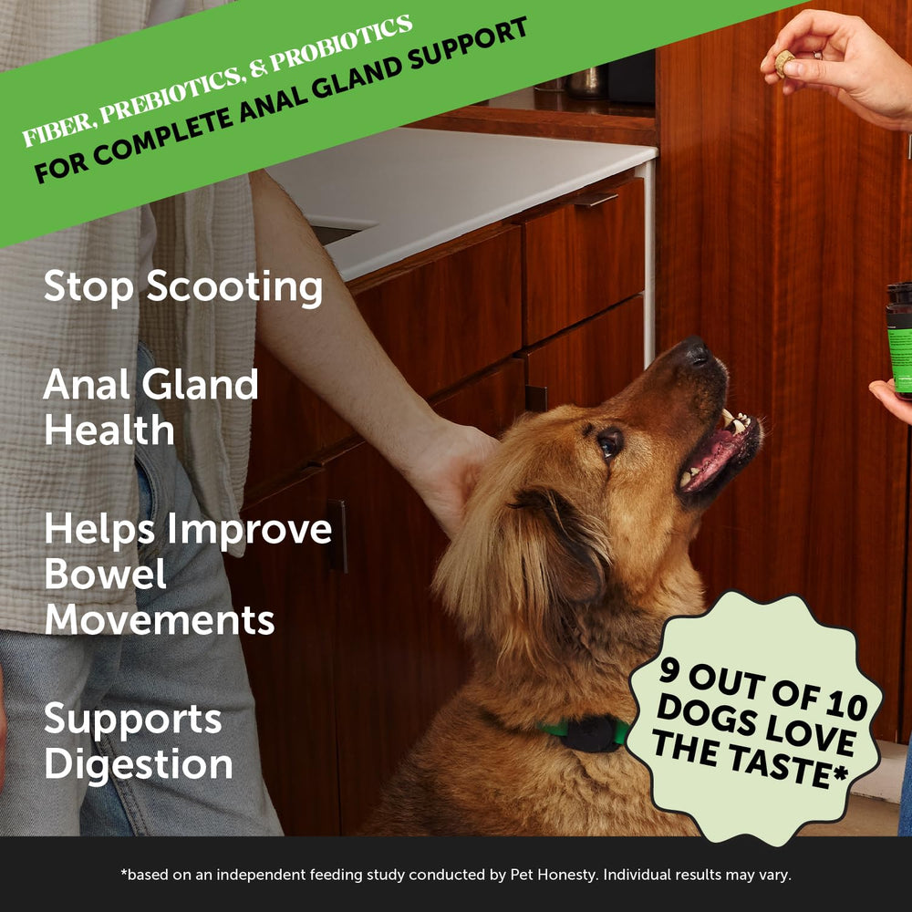 Pet Honesty Dog Scoot Stopper chews close-up showing texture and digestive support