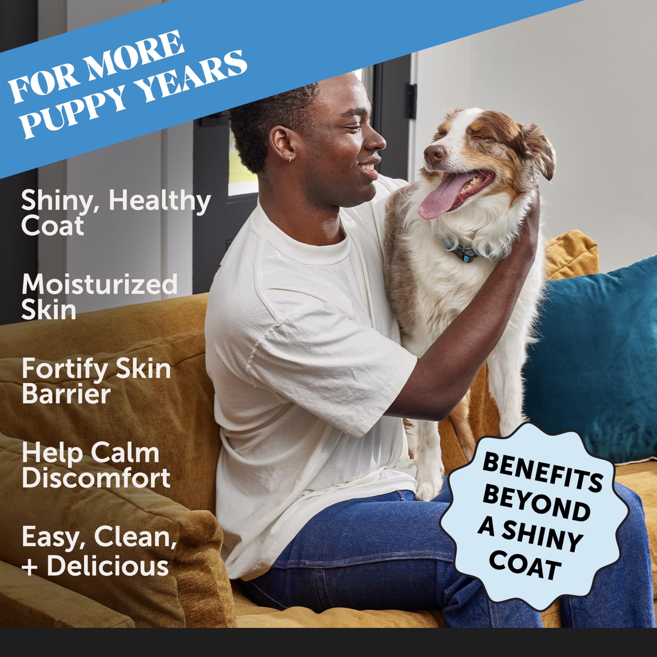 Pet Honesty dog supplement dish topping shown on meal bowl