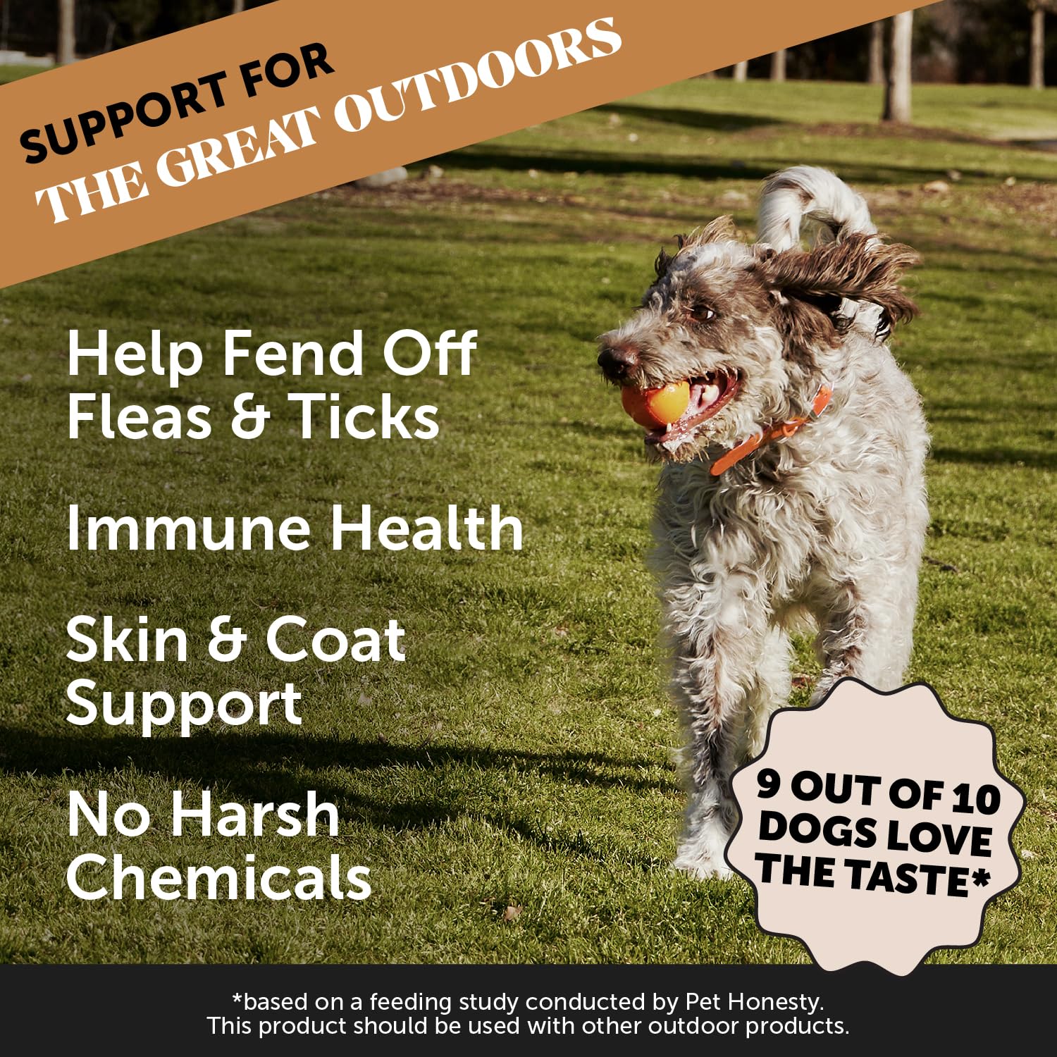 Pet Honesty flea tick chews dog-eating: dog happily enjoys chews during routine wellness.