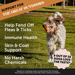 Pet Honesty flea tick chews dog-eating: dog happily enjoys chews during routine wellness.