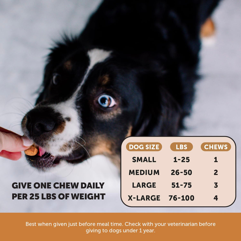 Pet Honesty flea tick chews ingredients-b-vitamins: garlic and B vitamins support overall wellness.