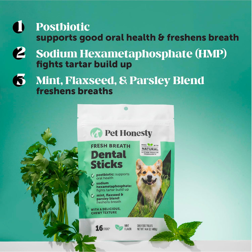 Pet Honesty Fresh Breath Sticks with salmon flavor invite chew sessions for freshness.