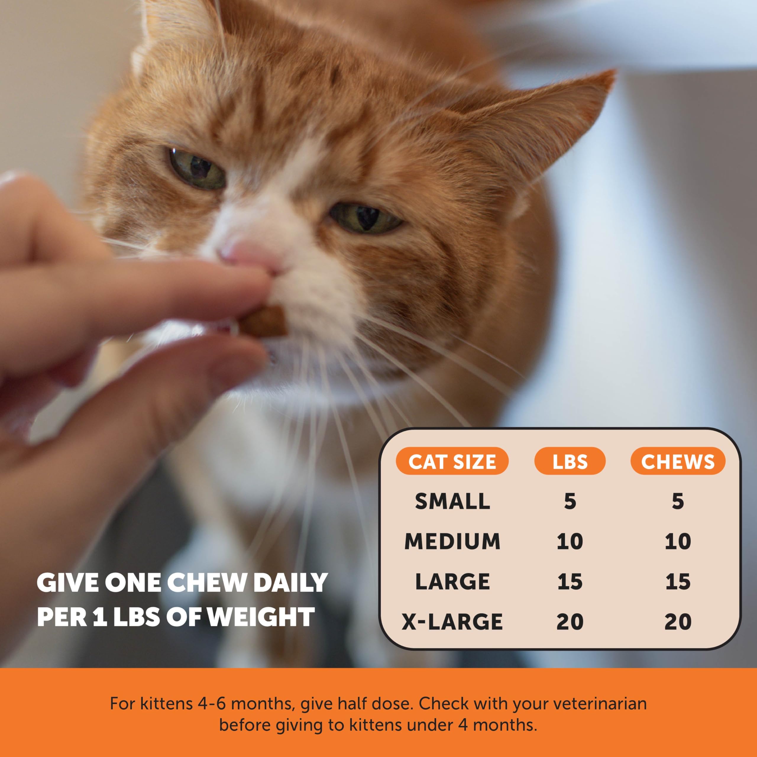 Pet Honesty gato premio sabor pollo: sabor popular que facilita la aceptación.