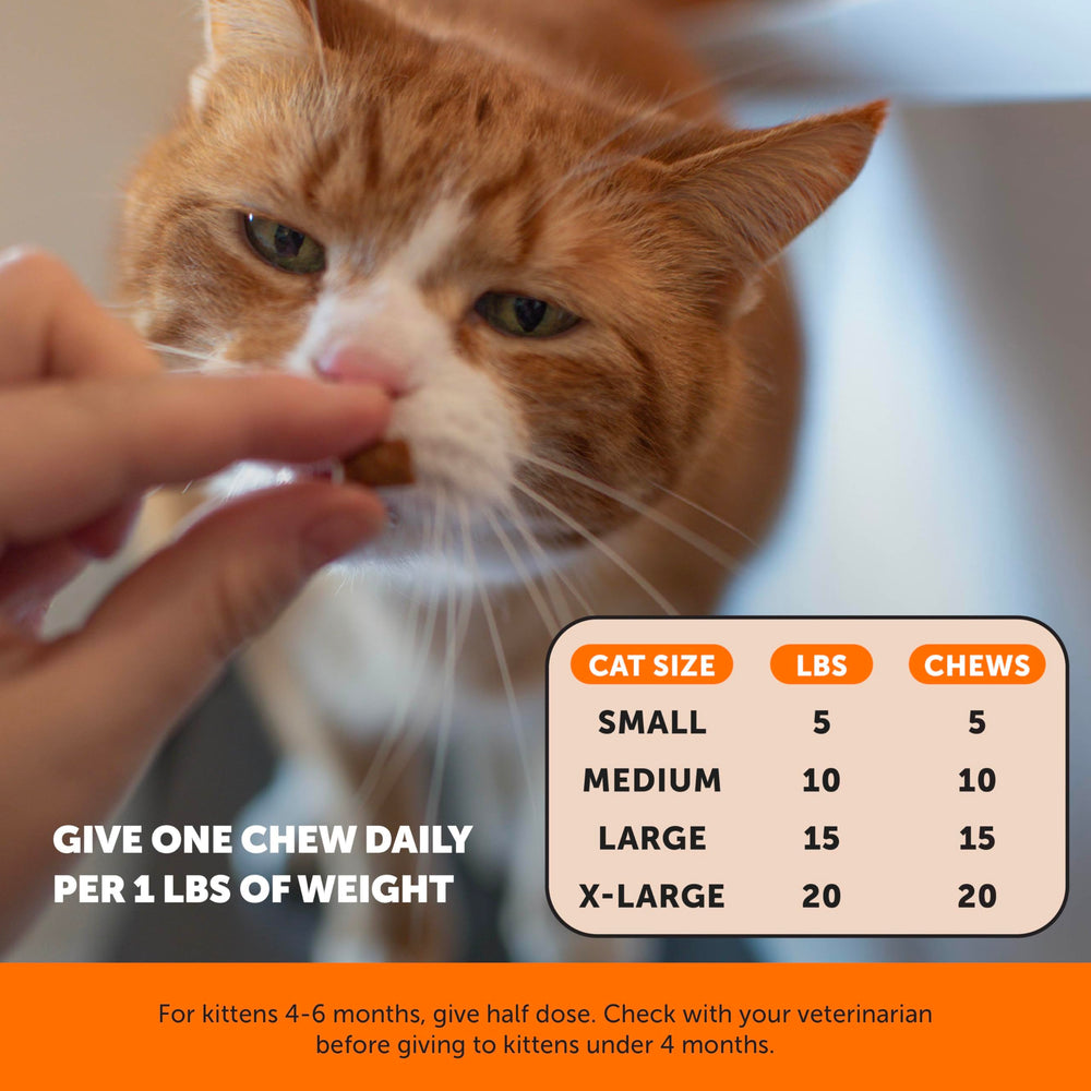 Pet Honesty gato premio sabor pollo: sabor popular que facilita la aceptación.