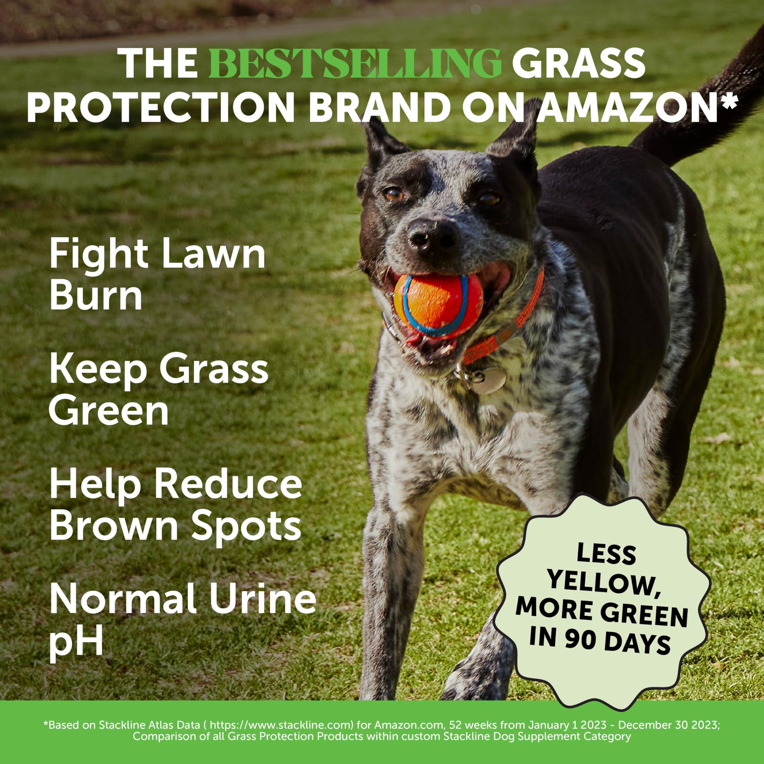 Pet Honesty Grass Green taste-test image shows palatable chews for dogs