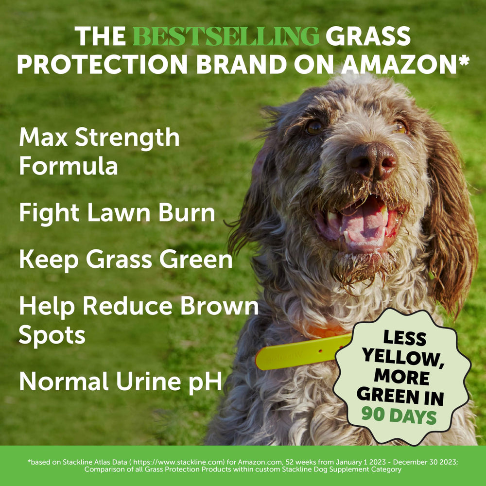 Pet Honesty Grass Green chews close-up with smoked-duck flavor highly palatable to dogs.