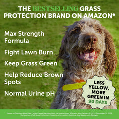 Pet Honesty Grass Green chews close-up with smoked-duck flavor highly palatable to dogs.