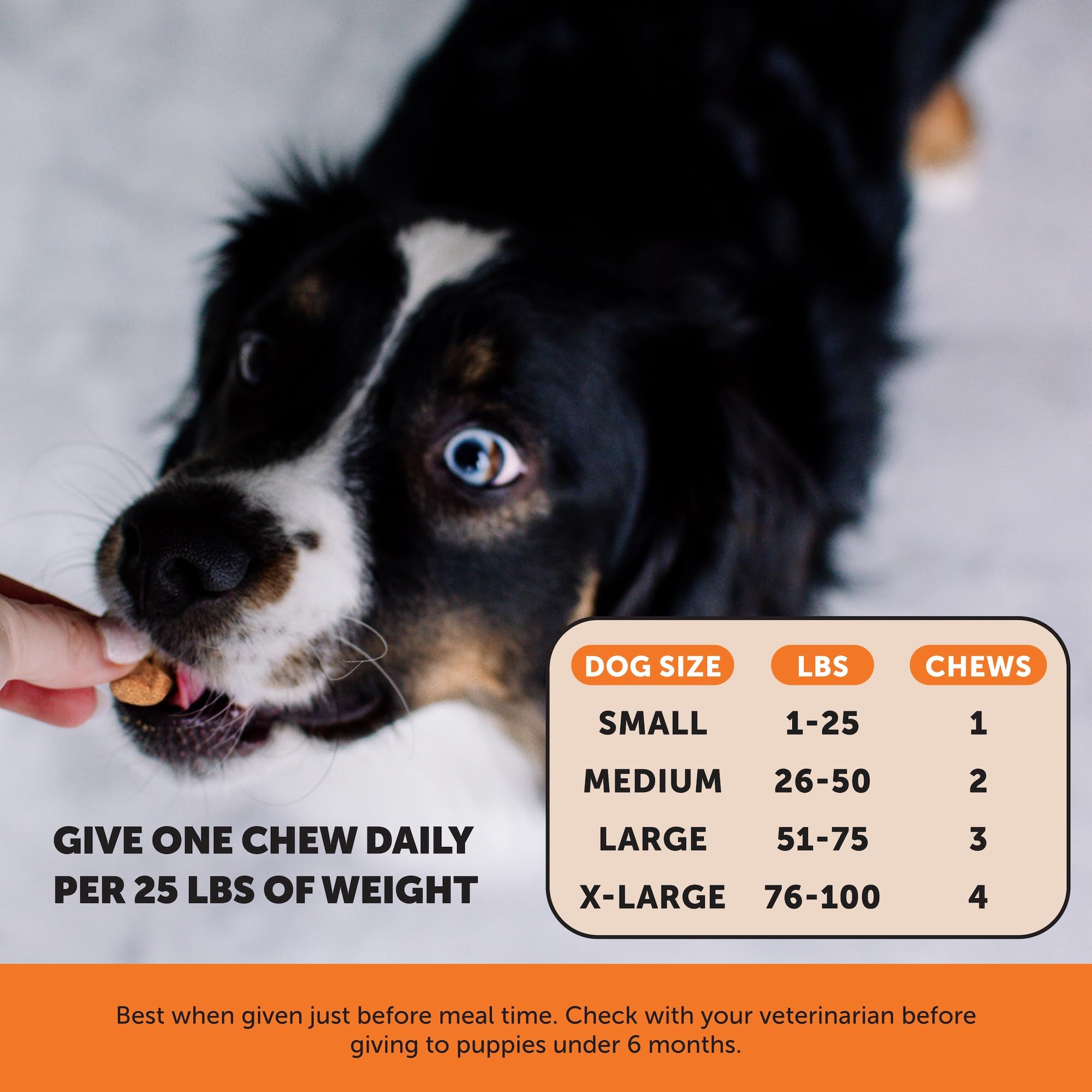 Pet Honesty green-lipped mussel image suggests natural mobility support for dogs