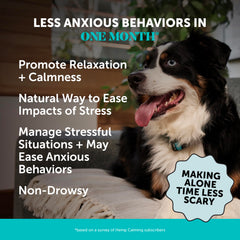 Pet Honesty hemp calming chews beef liver bottle on shelf signaling daily calm.
