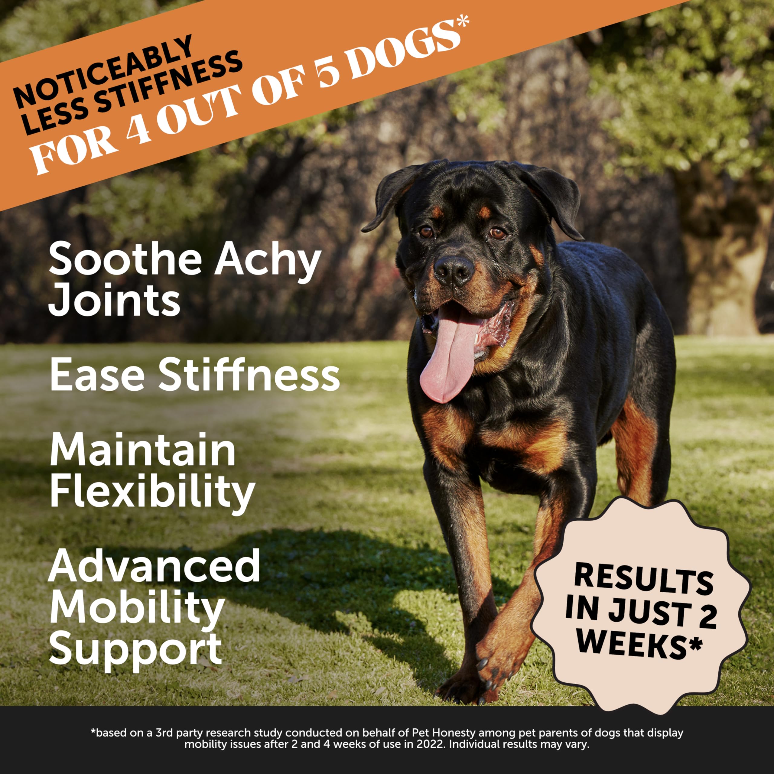 Pet Honesty Hip & Joint Health Max Strength dog chew close-up highlighting texture