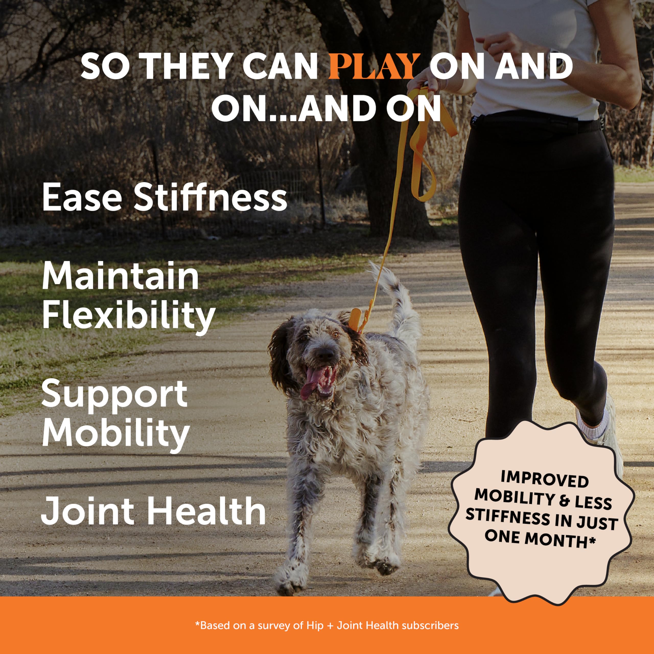 Pet Honesty Hip & Joint packaging highlights glucosamine and turmeric for mobility