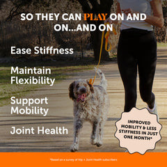 Pet Honesty Hip & Joint Chews closeup highlights glucosamine and chondroitin for joints