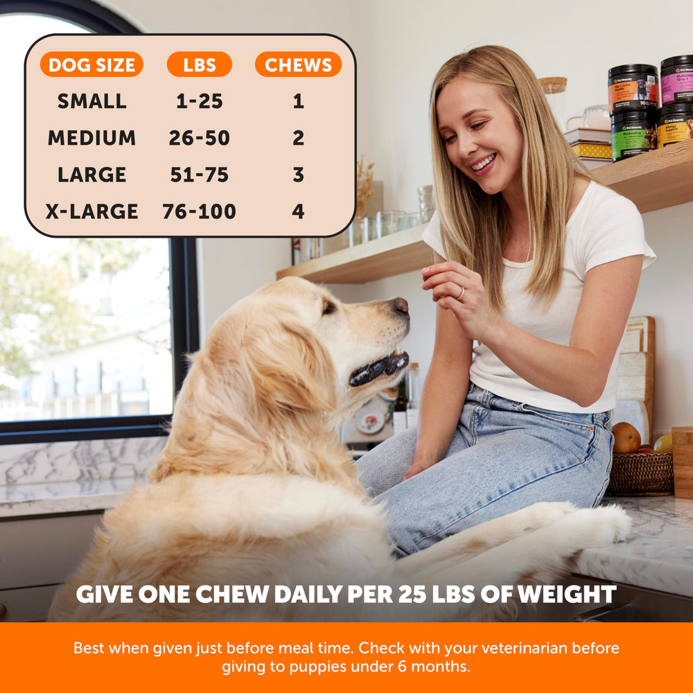 Pet Honesty Hip & Joint chews on a puppy for age-appropriate comfort
