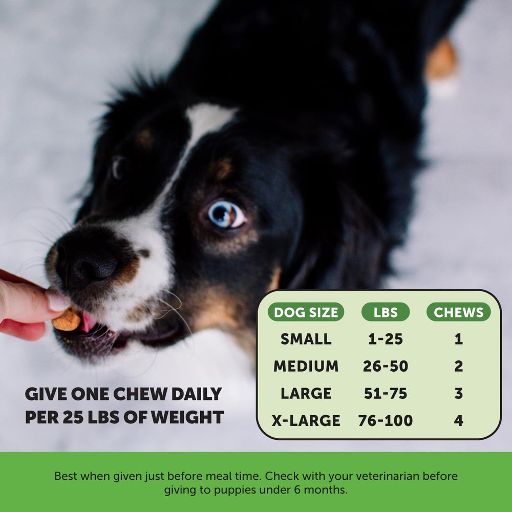 Pet Honesty immune-supporting cranberry chews for dogs in bright packaging.