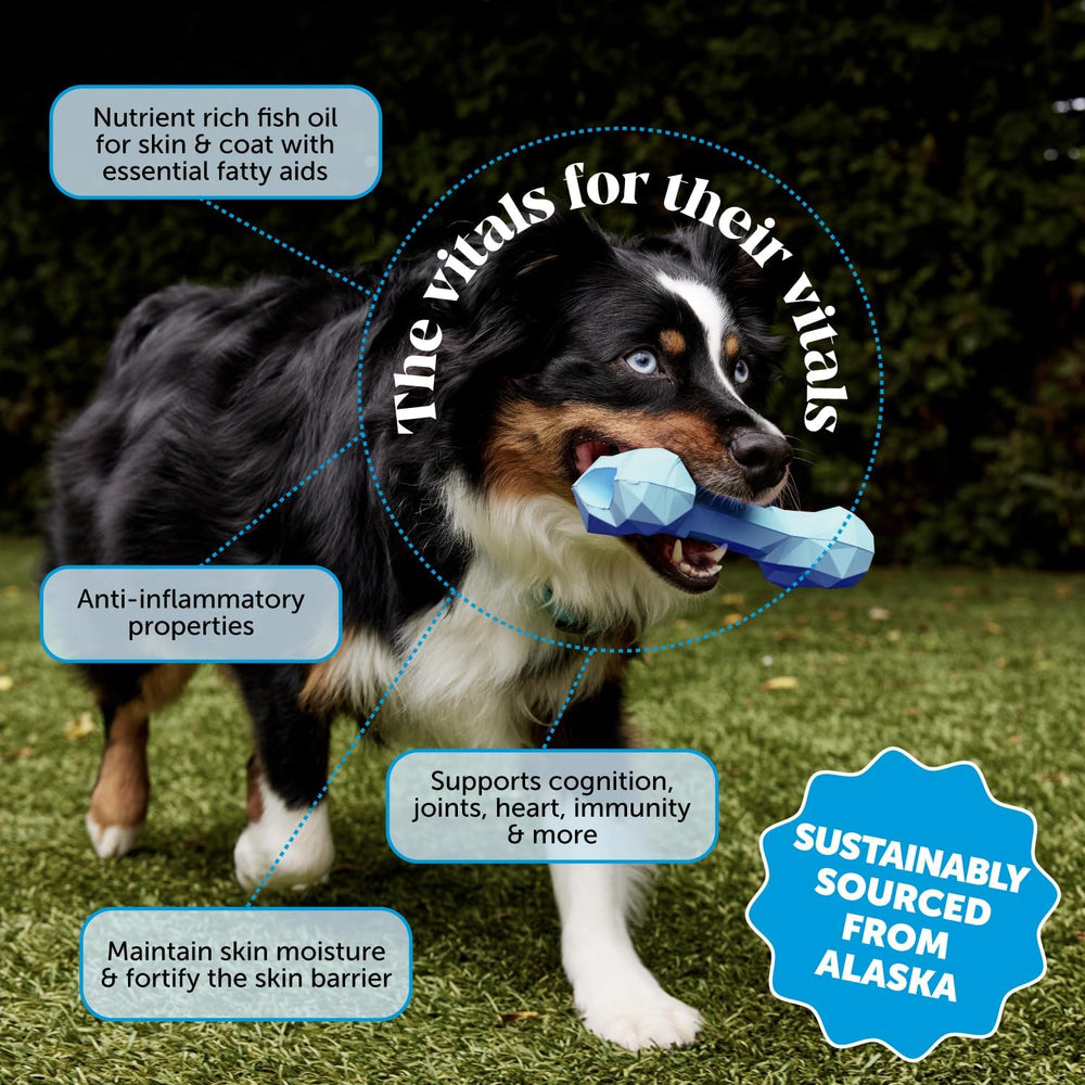 Pet Honesty Omega-3 pour spout; easy dosing for pets.
