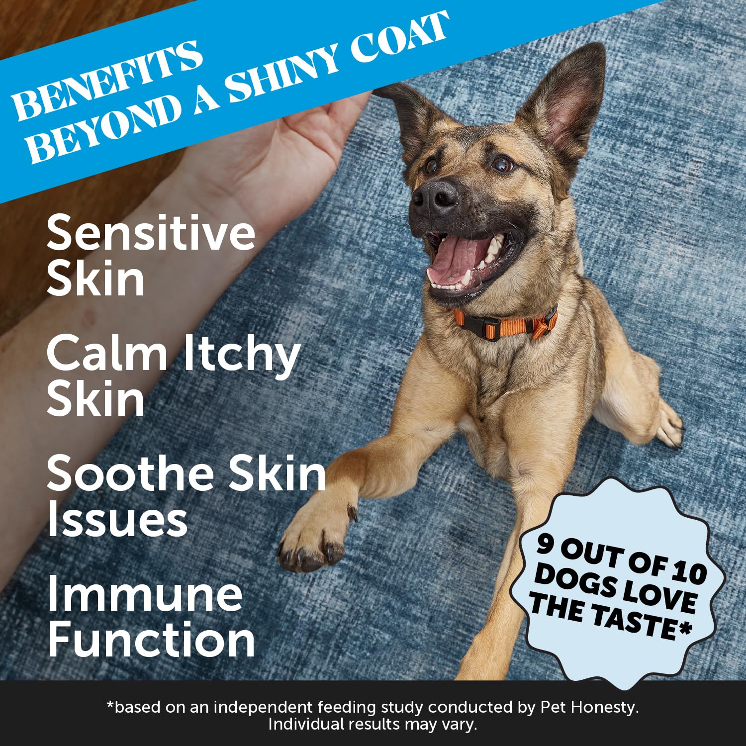 Pet Honesty Omega Skin Health Chews dog eating scene highlights delicious salmon flavor and palatability
