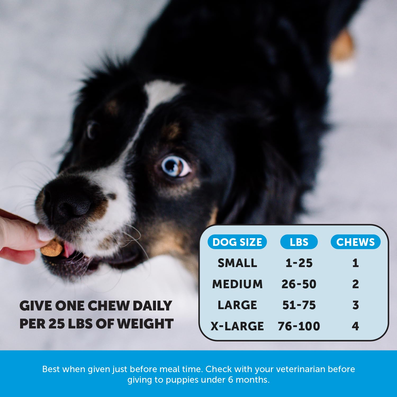 Pet Honesty Omega Skin Health Chews salmon-flavored texture appeals to picky dogs