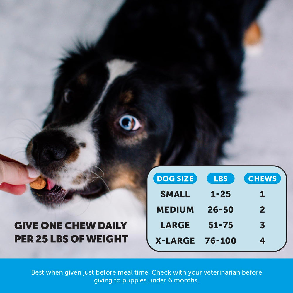 Pet Honesty Omega Skin Health Chews salmon-flavored texture appeals to picky dogs