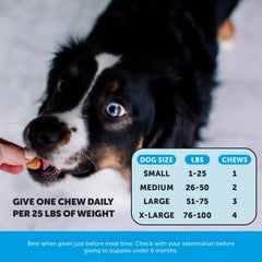 Pet Honesty Omega Skin Health Chews salmon-flavored texture appeals to picky dogs