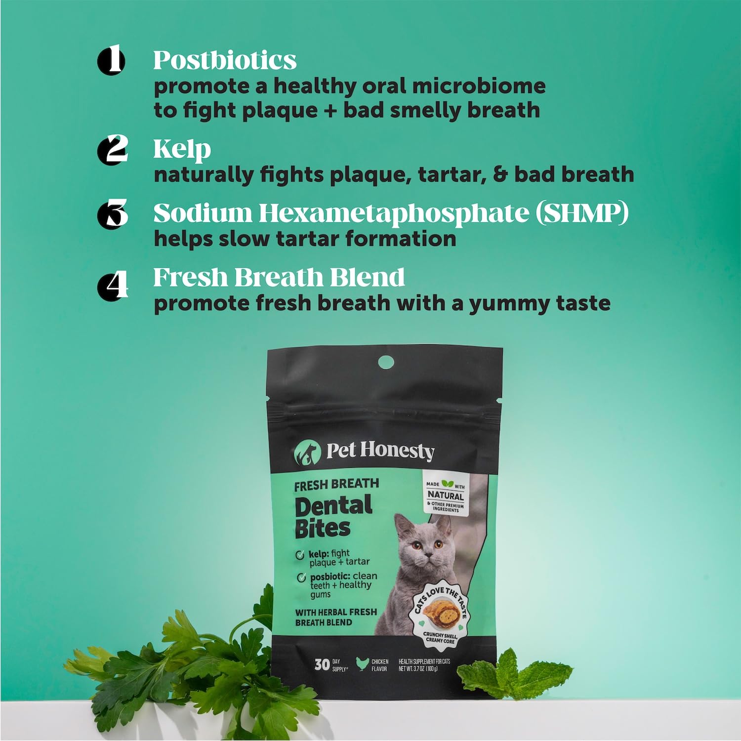 Pet Honesty postbioticos y algas favorecen un cuidado oral equilibrado.