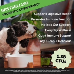 Pet Honesty probiotic powder jar label shows clean ingredients for gut-friendly daily support.