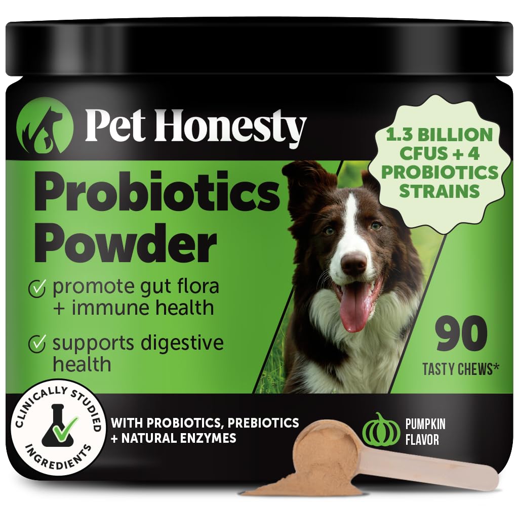 Pet Honesty probiotic pumpkin powder topper in a bowl promotes easy digestion.