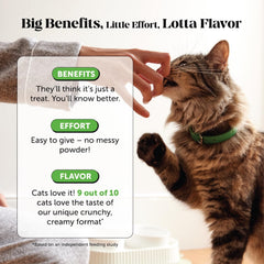 Uso diario de probióticos para gatos de Pet Honesty, fácil de incorporar