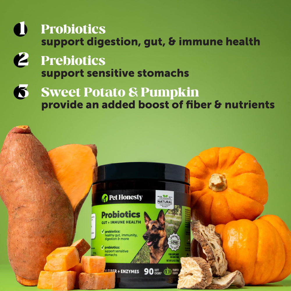 Pet Honesty digestive enzymes image emphasizes enzymes aiding comfortable digestion after meals