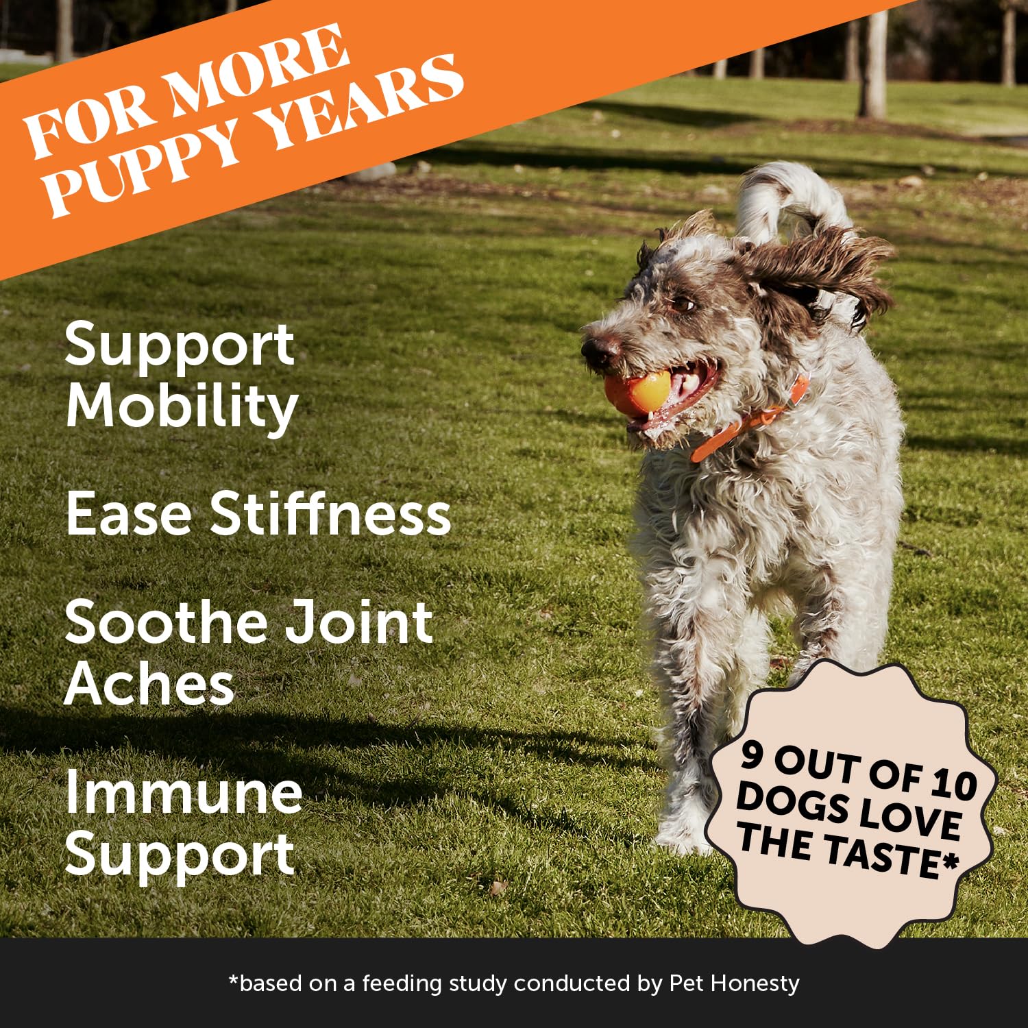 Pet Honesty pumpkin-coconut flavored chews shown for easy daily joint comfort for dogs
