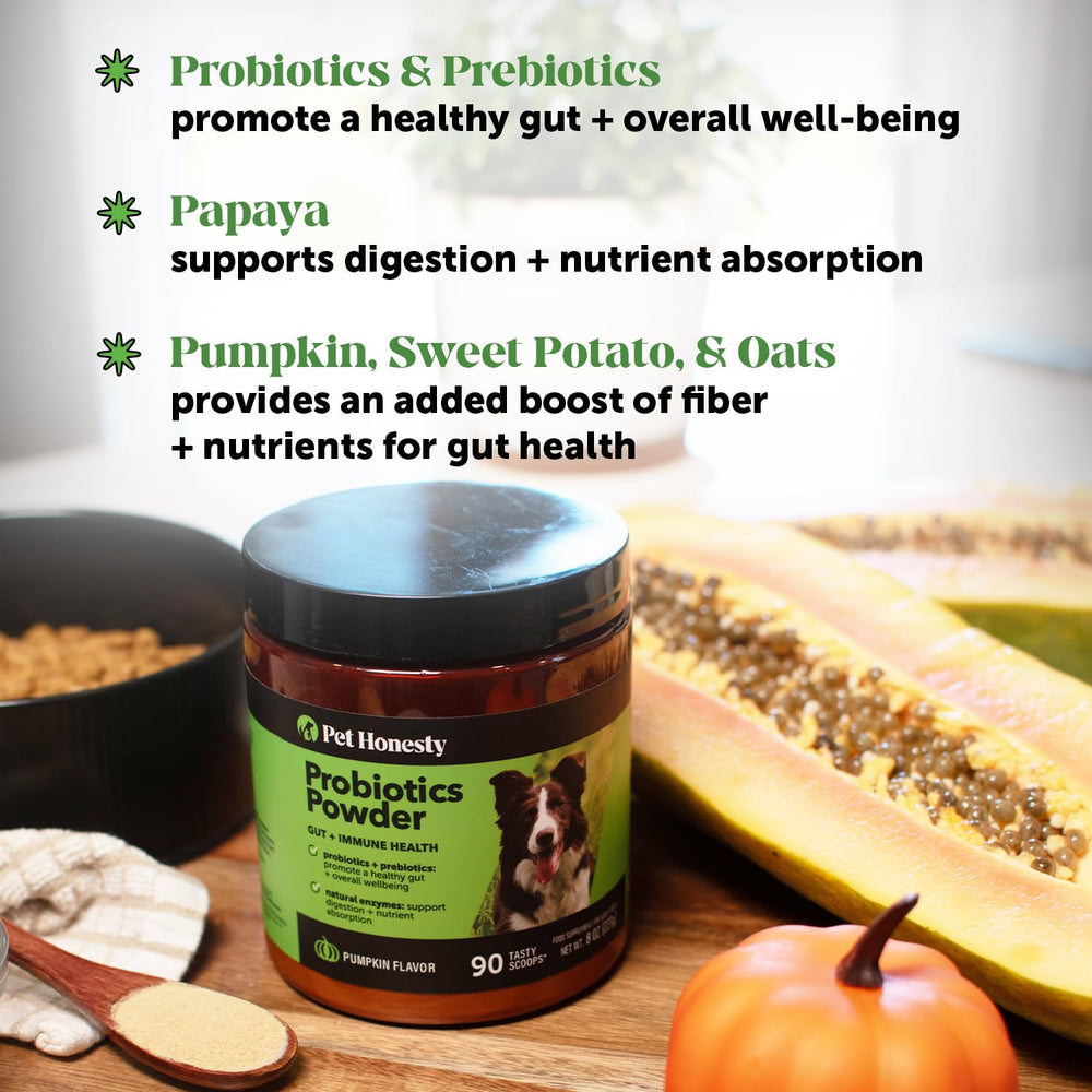 Pet Honesty pumpkin prebiotic blend supports gentle digestion and nutrient absorption for dogs.