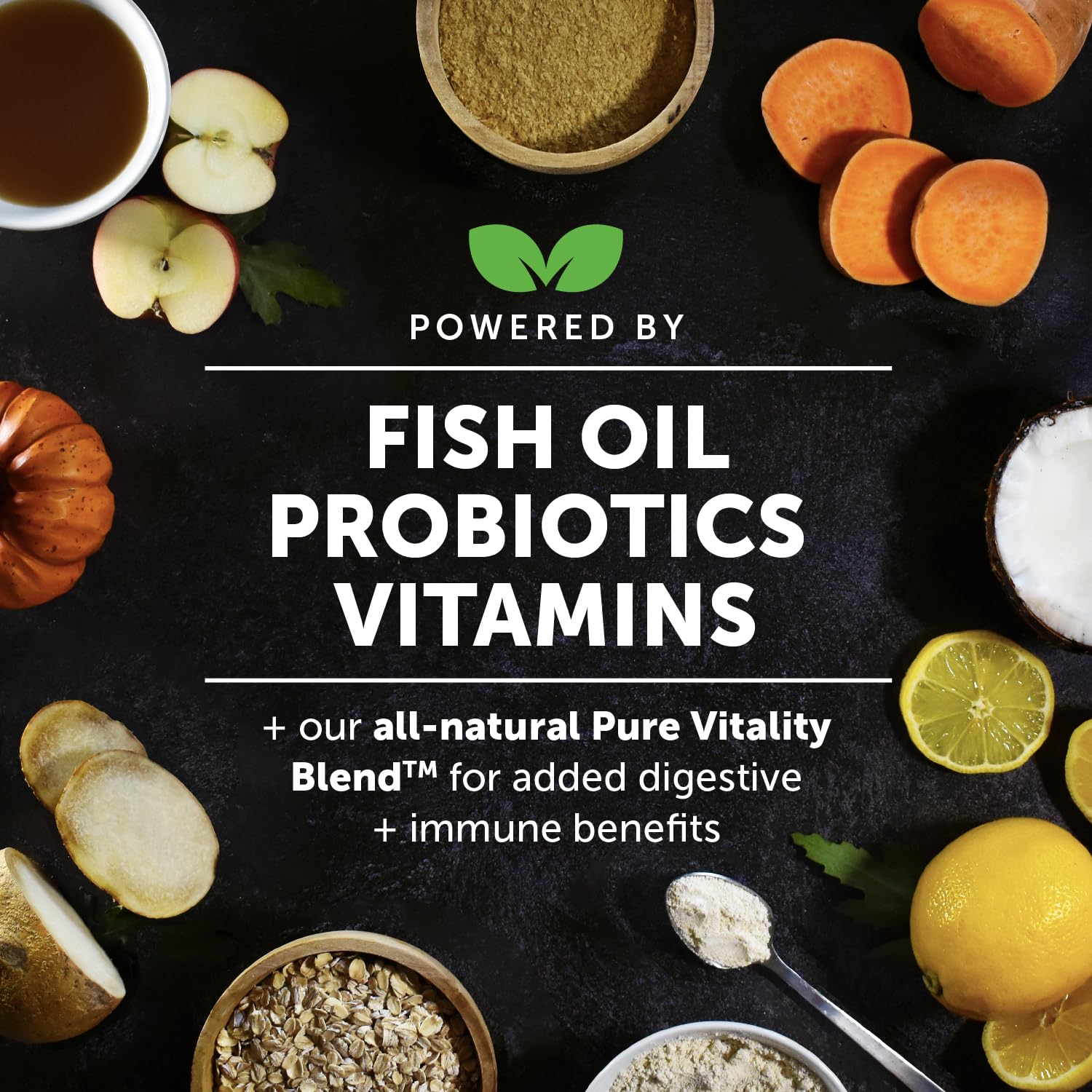 Pet Honesty puppy health journey illustration showing immune and digestive support