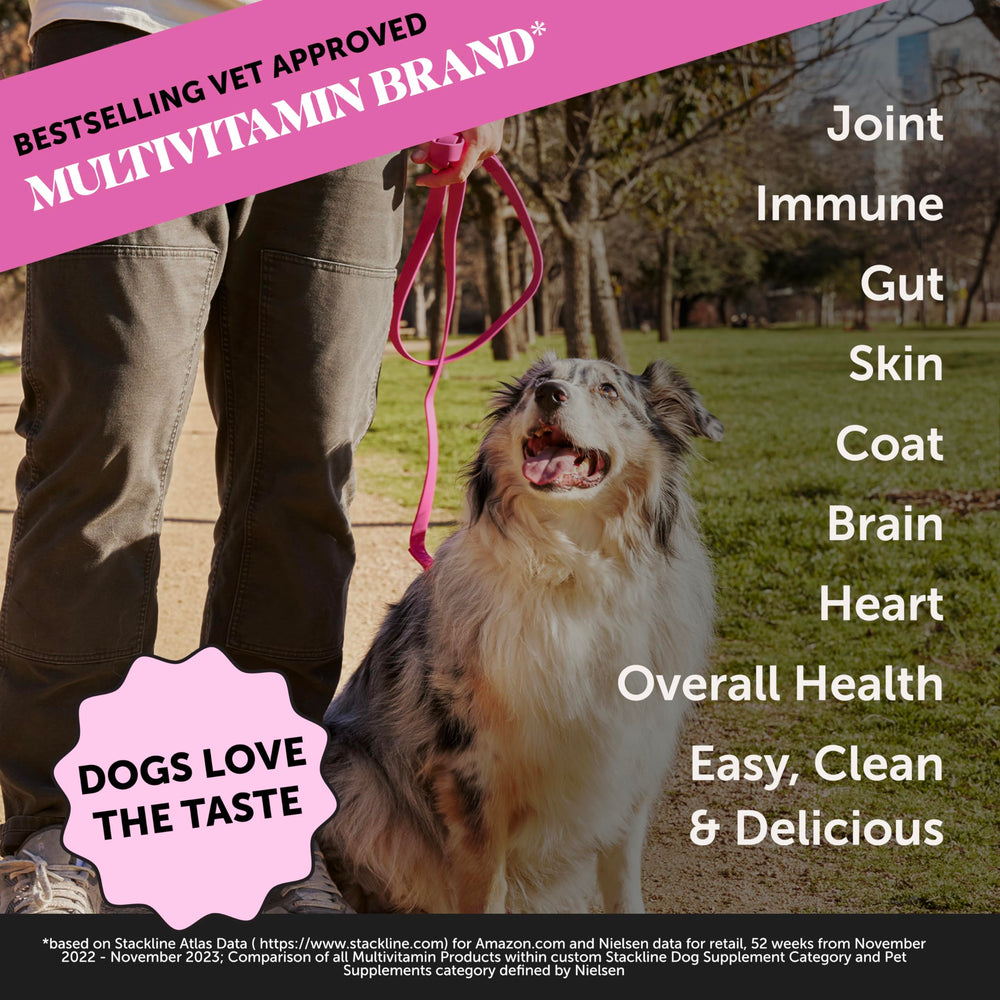 Pet Honesty salmon oil liquid pour into bowl supports shiny coat and healthy skin