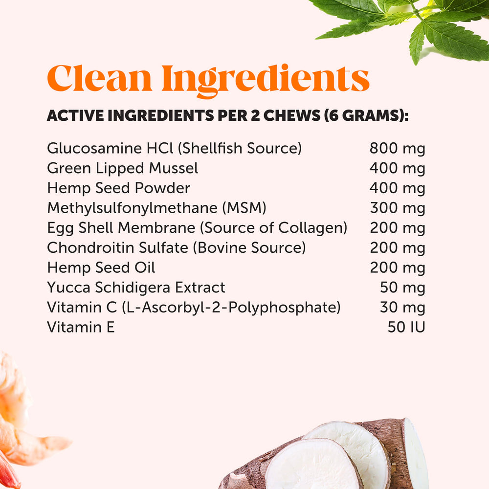 Pet Honesty Senior daily-use chews designed for aging dog joint health