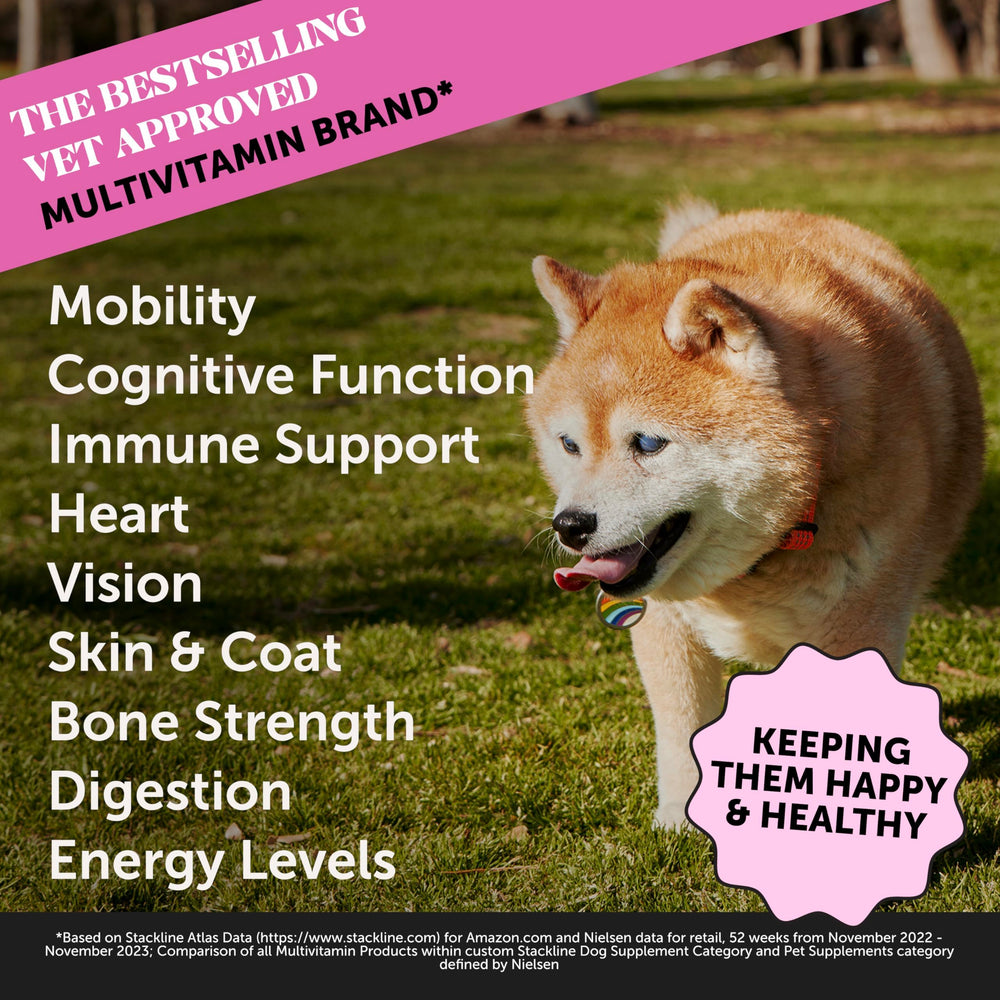 Pet Honesty senior multivitamin soft chews showing duck flavor appeal for dosing.