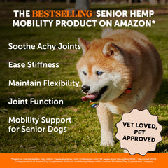 Pet Honesty Senior Hemp Hip and Joint soft chews closeup showing tasty flavor