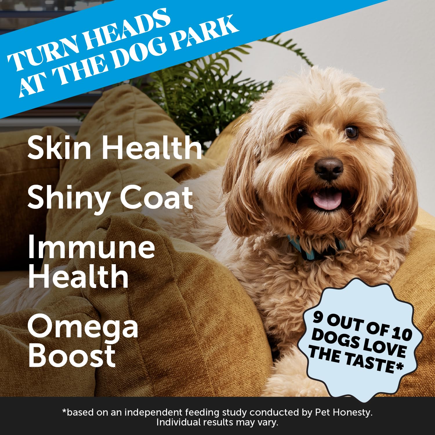 Pet Honesty Skin Health Salmon Chews bottle showing omega-3 richness for shiny coat