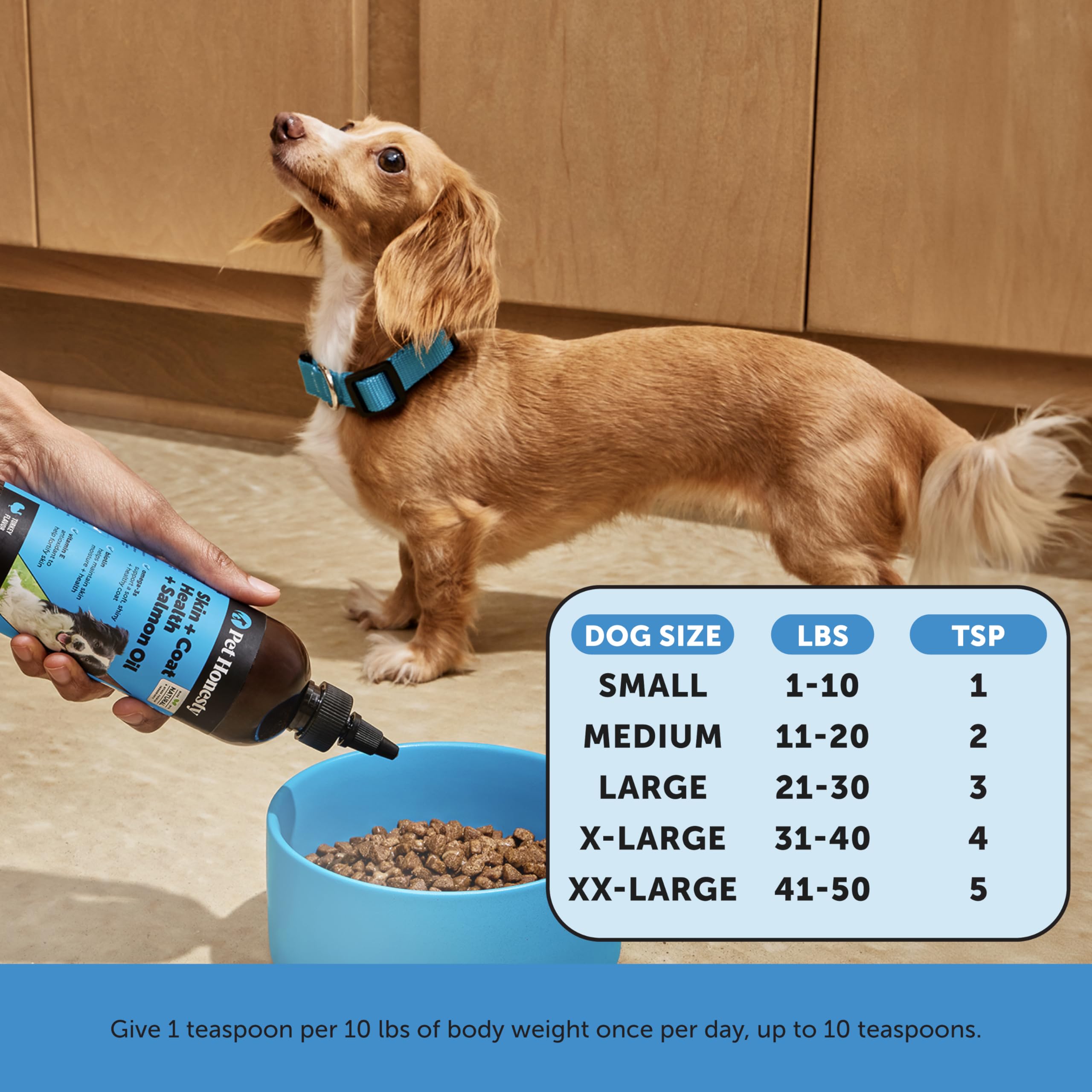 Pet Honesty USA made NASC label signals quality and safety standards