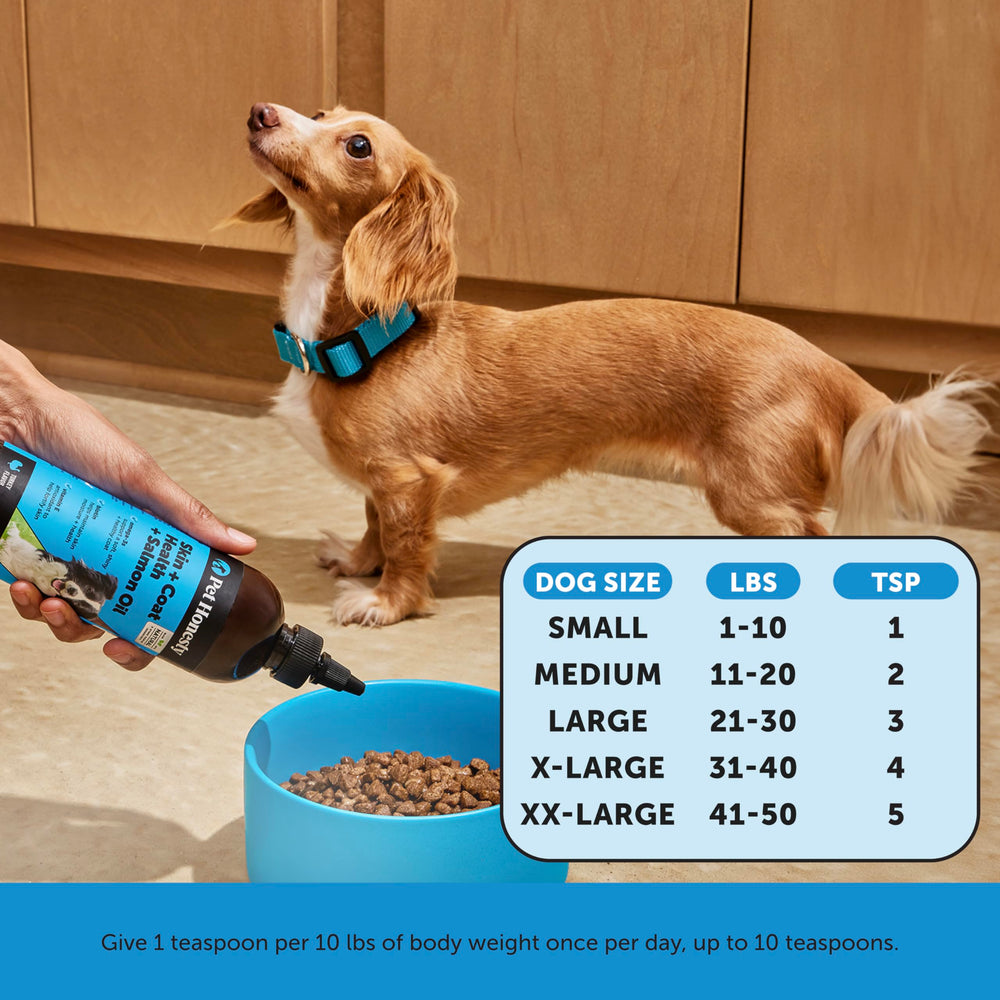 Pet Honesty USA made NASC label signals quality and safety standards