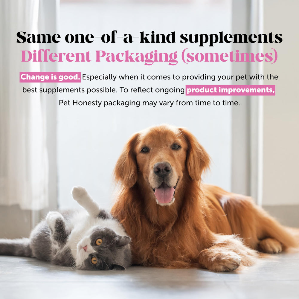 Pet Honesty vet-recommendation icon on packaging signals trusted care.