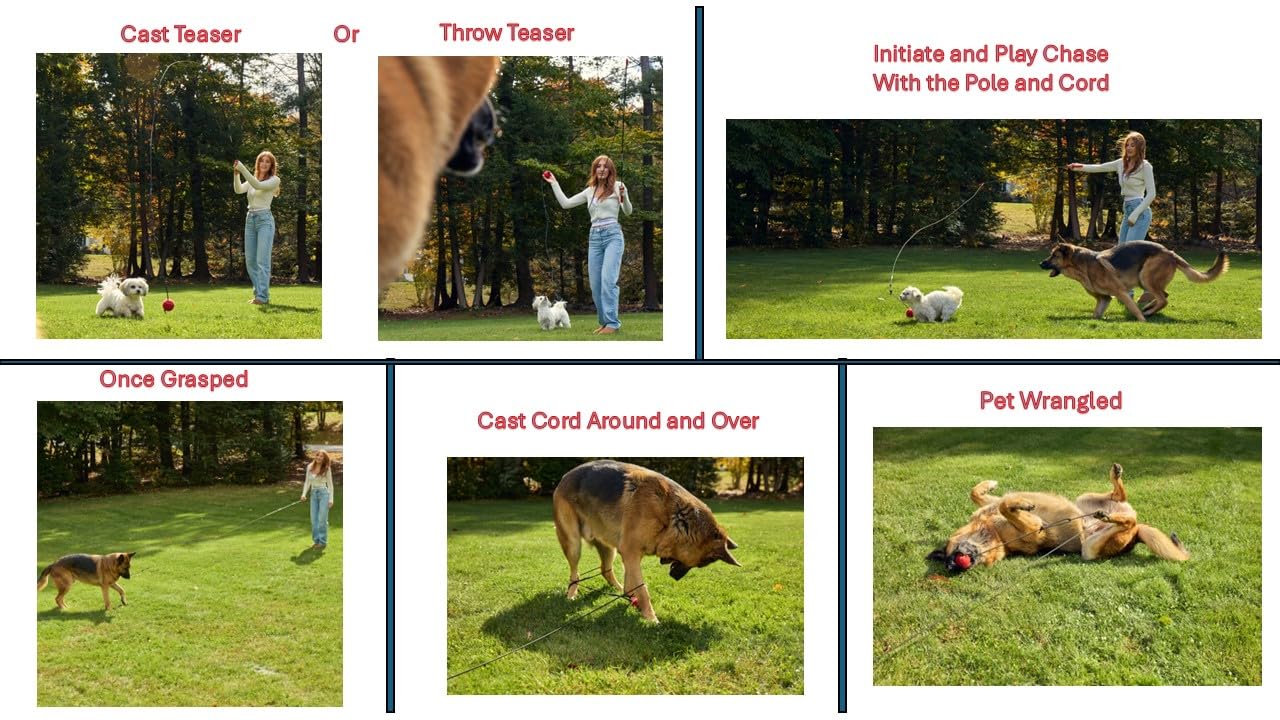 Pet Wrangler 2 extended play area shows a 32ft wide play range for energetic workouts