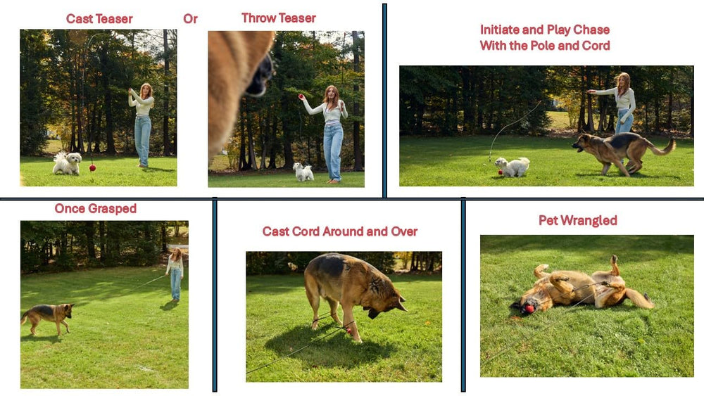 Pet Wrangler 2 extended play area shows a 32ft wide play range for energetic workouts