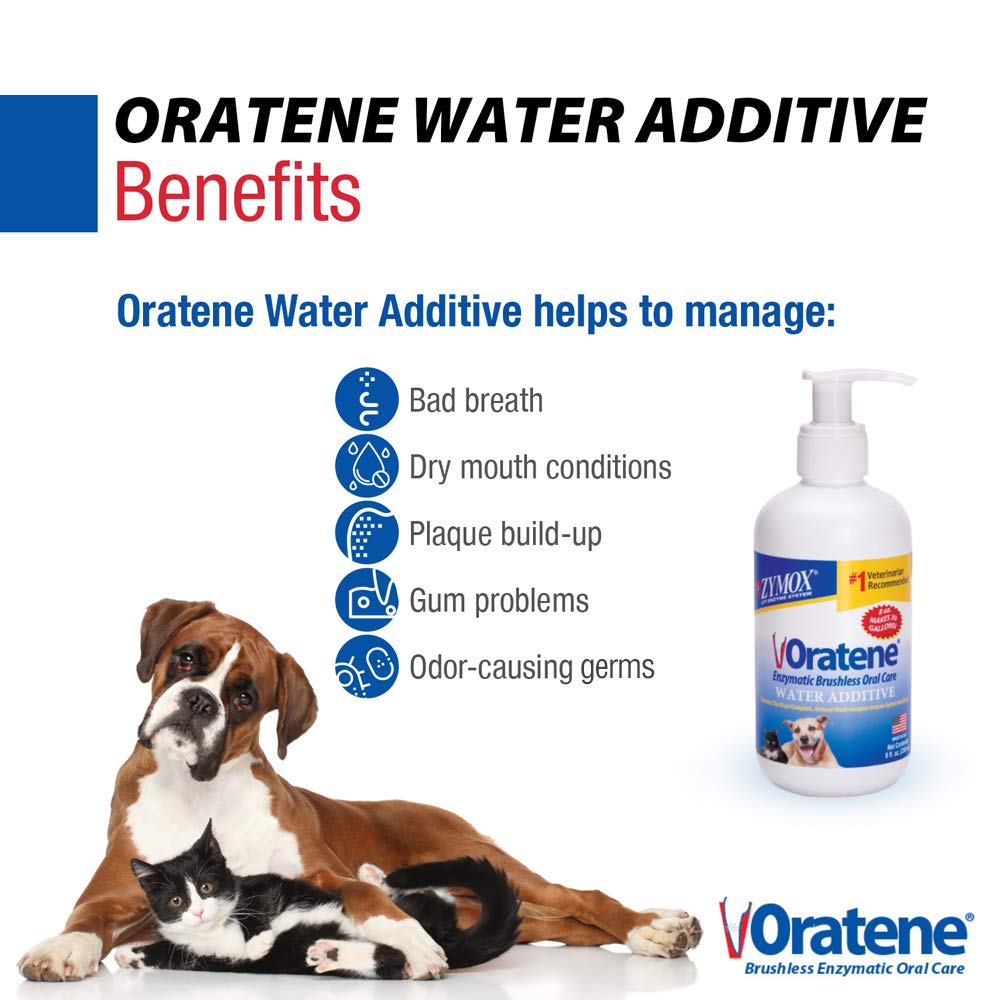 ZYMOX water additive in dog bowl supports fresh breath and plaque control