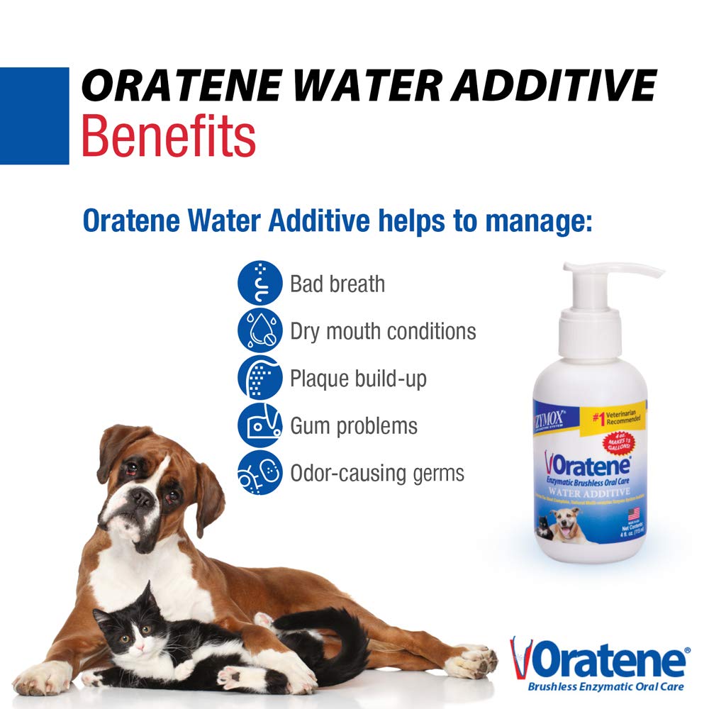 Pet King Brands Zymox Oratene water additive pour action supports painless dental routine