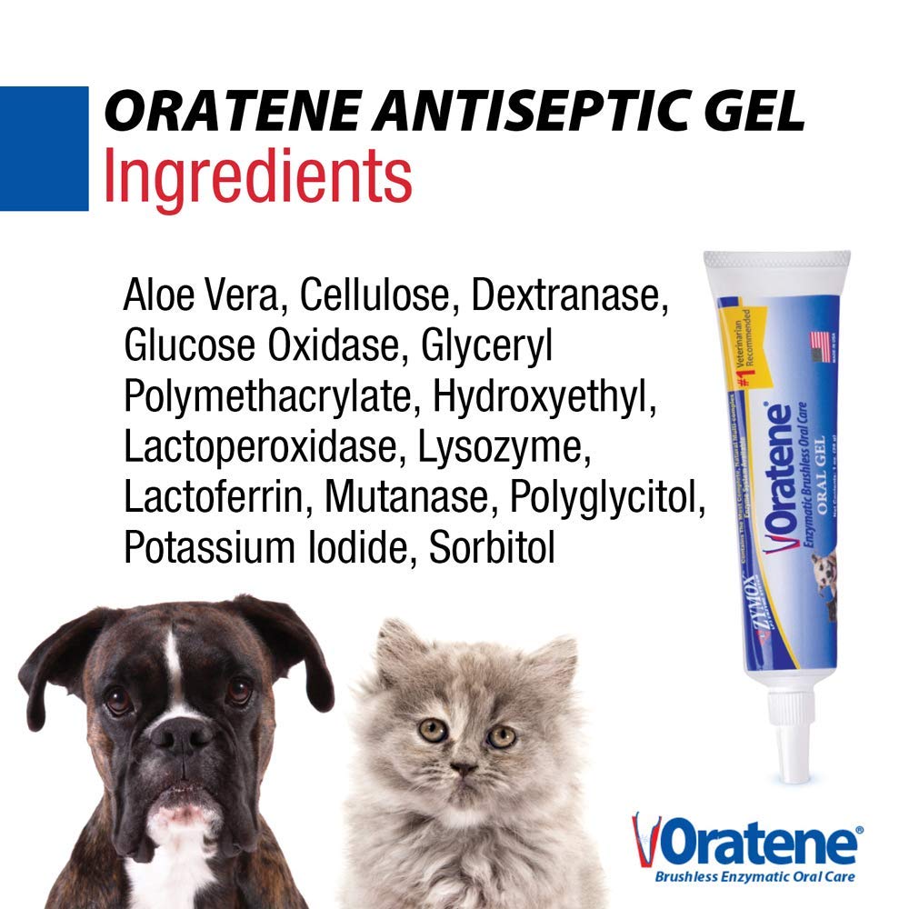 ZYMOX gel used on dog and cat mouths.