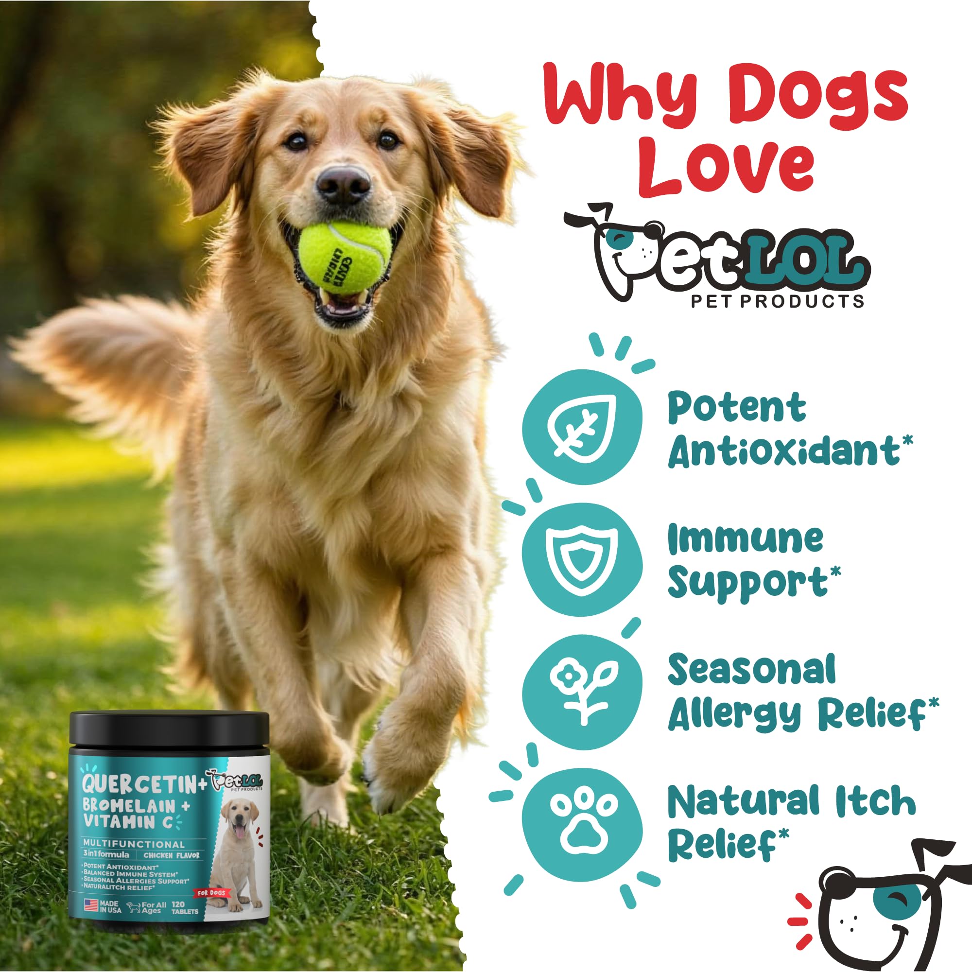 PET LOL Quercetin allergy-comfort-dogs image demonstrates tasty daily chewability.