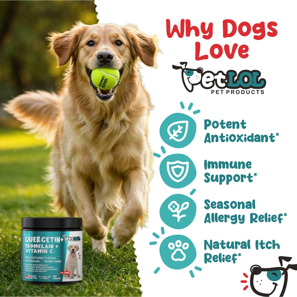 PET LOL Quercetin allergy-comfort-dogs image demonstrates tasty daily chewability.
