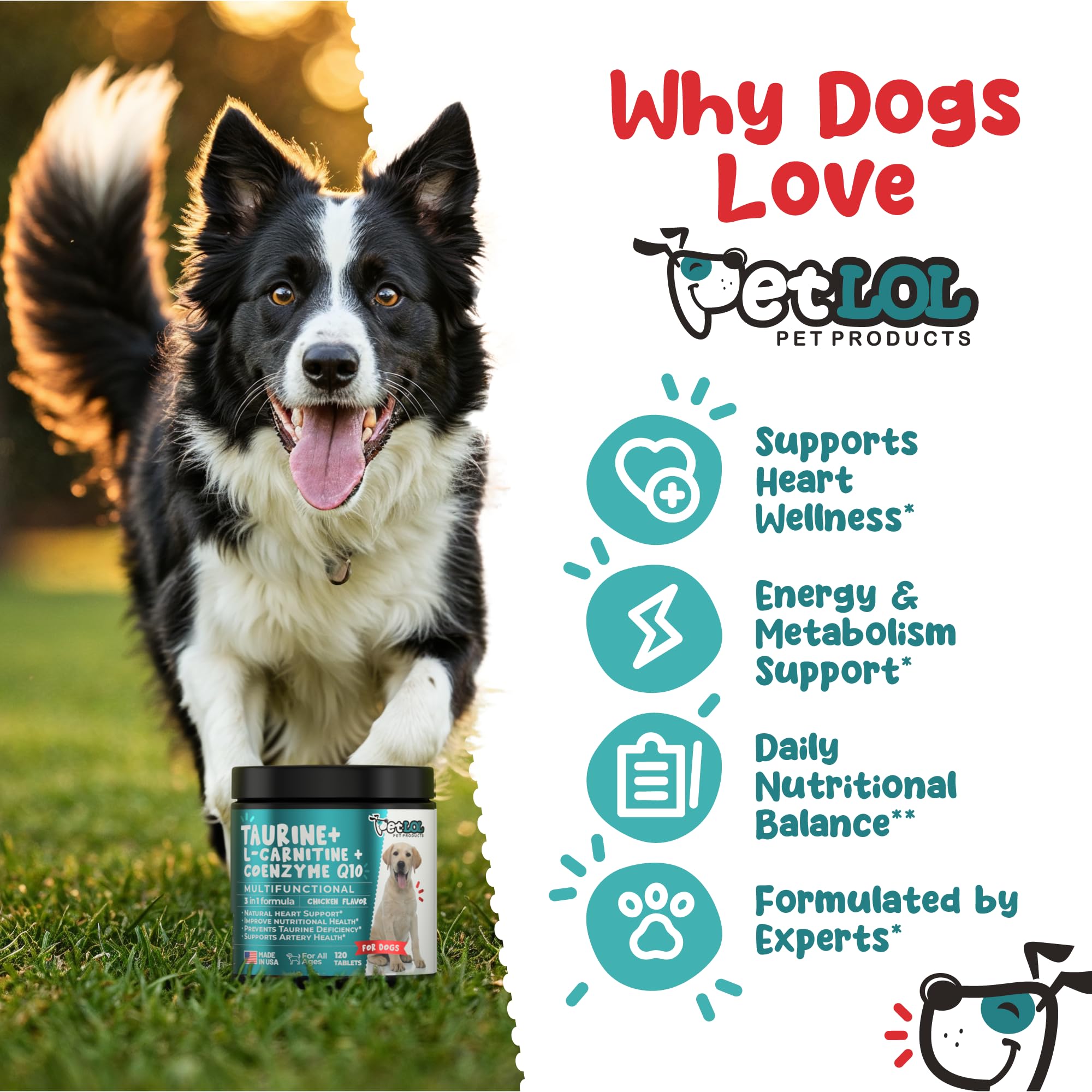 PET LOL taurine supplement bottle-dispense demonstrating convenient dosing