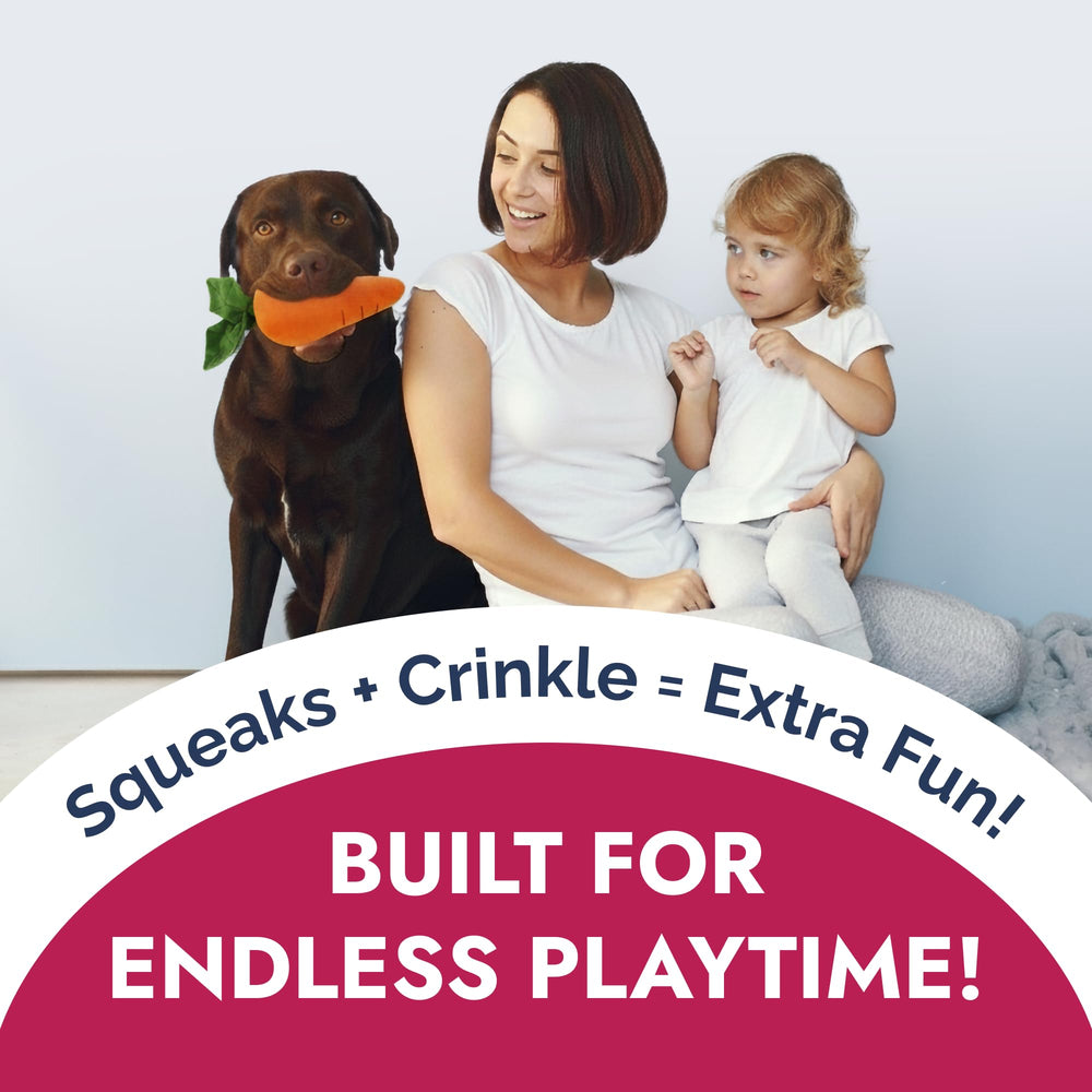 Pet Lou durable dog toy for moderate chewers in all sizes.