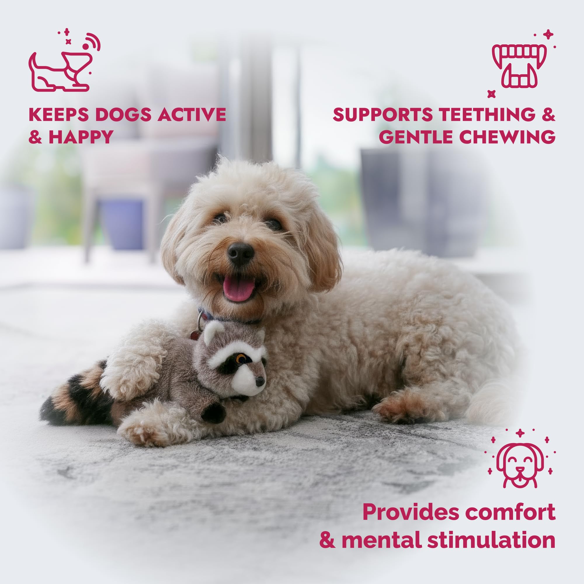 Pet Lou RAC-8 mapache peluche con chirrido integrado para estimulación mental.